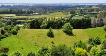 One of New Zealand’s biggest environmental problems is erosion caused by bush clearance on unstable soils by long ago farmers