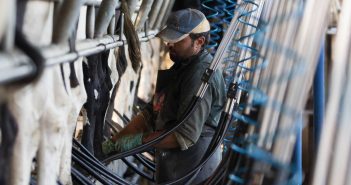 Injured migrant worker not aware of safe practices