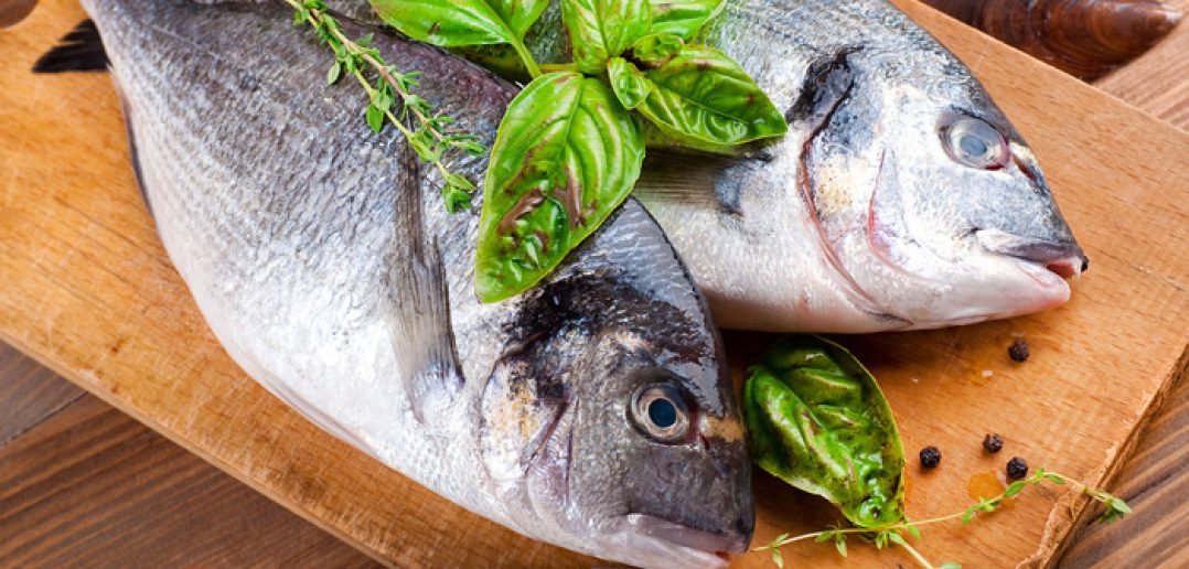 nzseafoodindustry Industrial Safety News Magazine