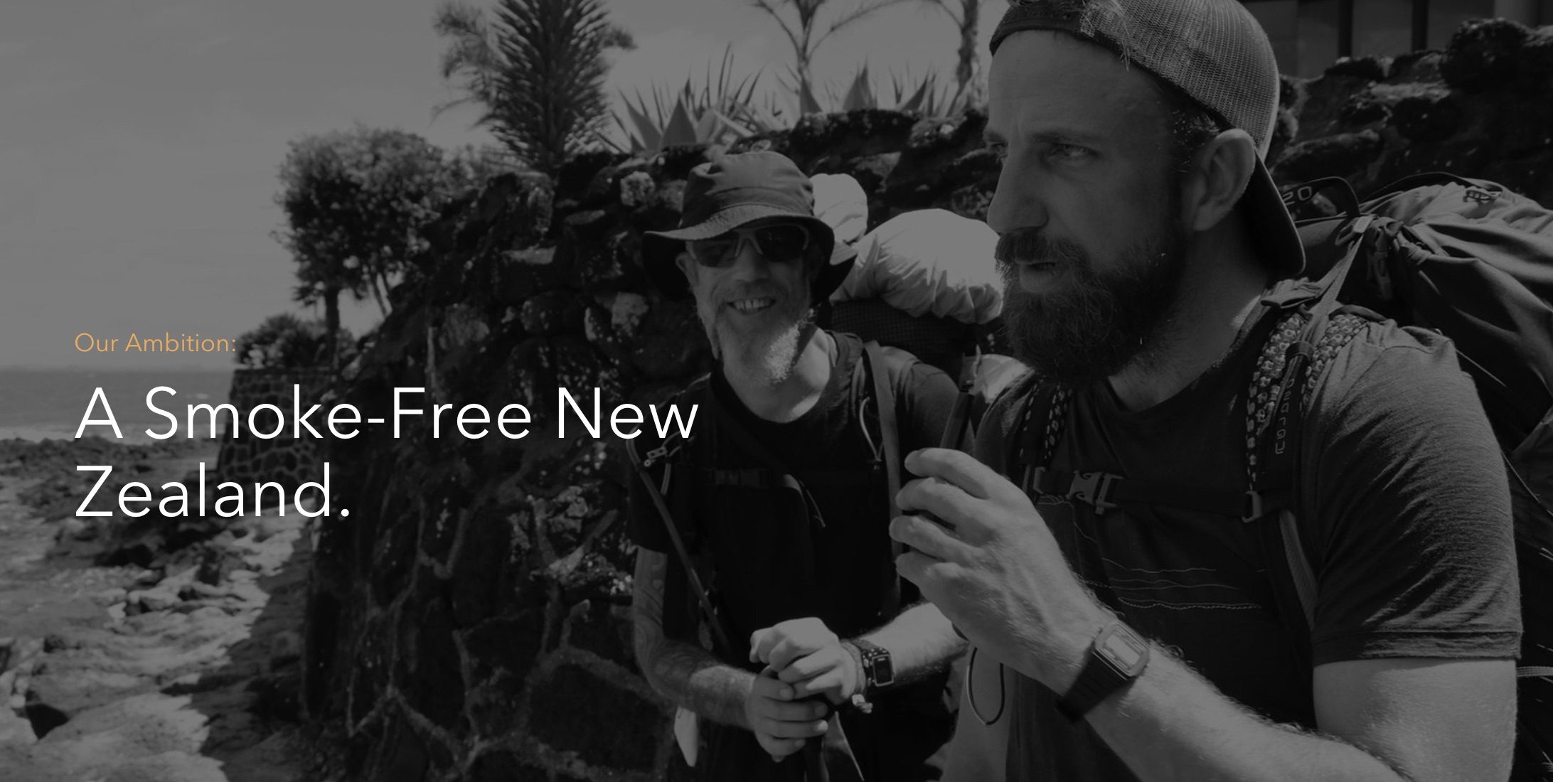 Offshore tobacco giants poised to enter vape market in New Zealand